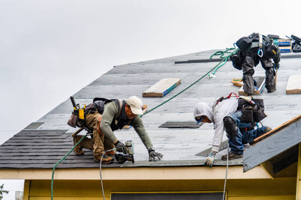 Professional Gutter Installation technician working in Bushland, TX